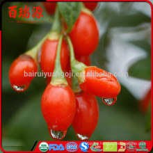 Good Quality goji berry Free Samples goji cheap goji berry price